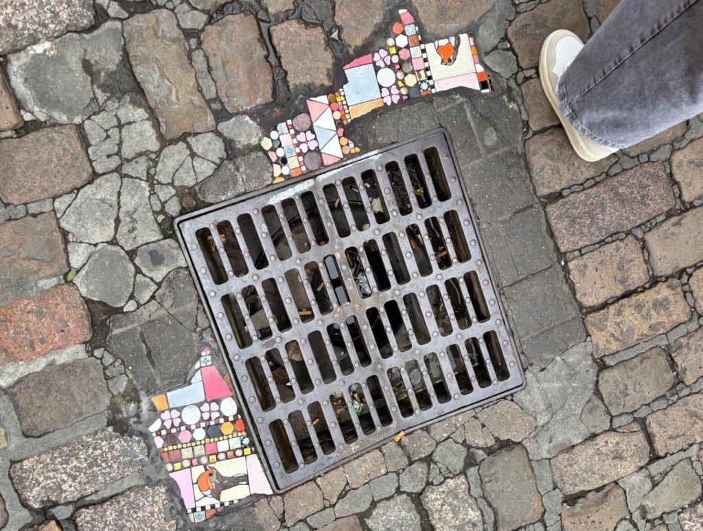 flacking art digione