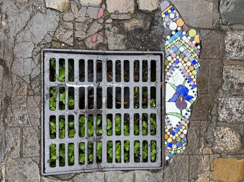 flacking art digione