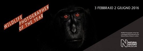 Mostra fotografica 'Wildlife Photographer of the year' Forte di Bard (Valle d'Aosta)