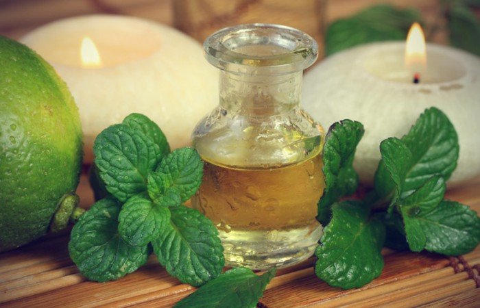 rimedi naturali contro le zanzare olio di menta