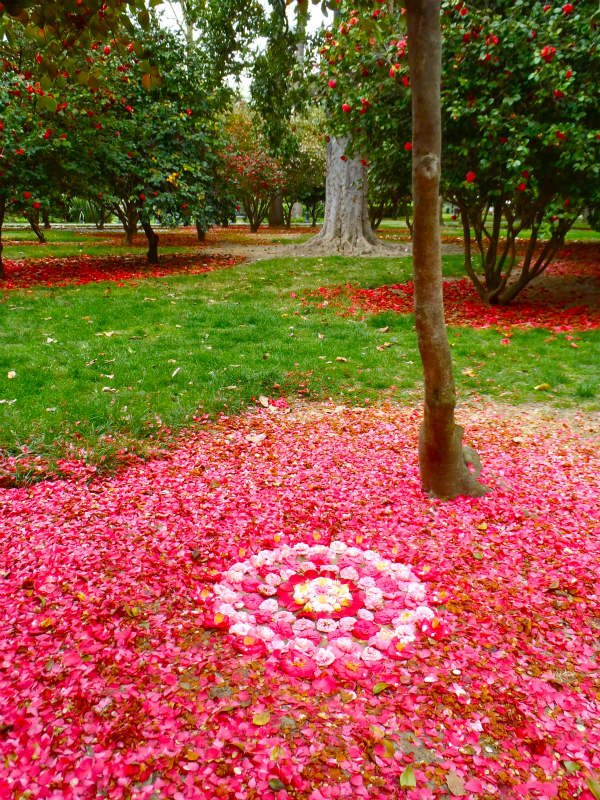 Mandala di fiori Khaty Klein