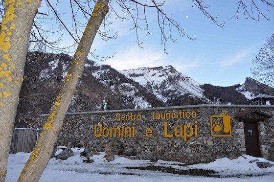 centro faunistico uomini e lupi