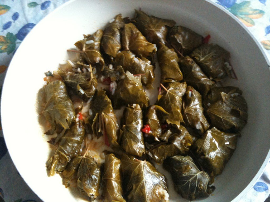 Involtini di foglie di vite