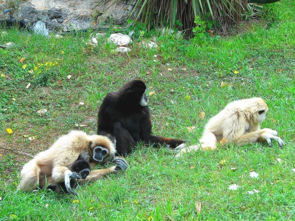 Buona Pasqua dalla redazione