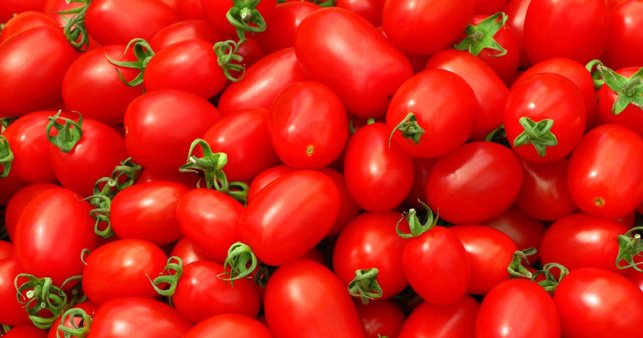 come salvare i pomodori
